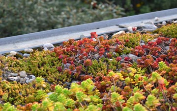 the cost of Chelworth green roof installation