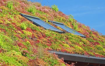 Chelworth living roof systems